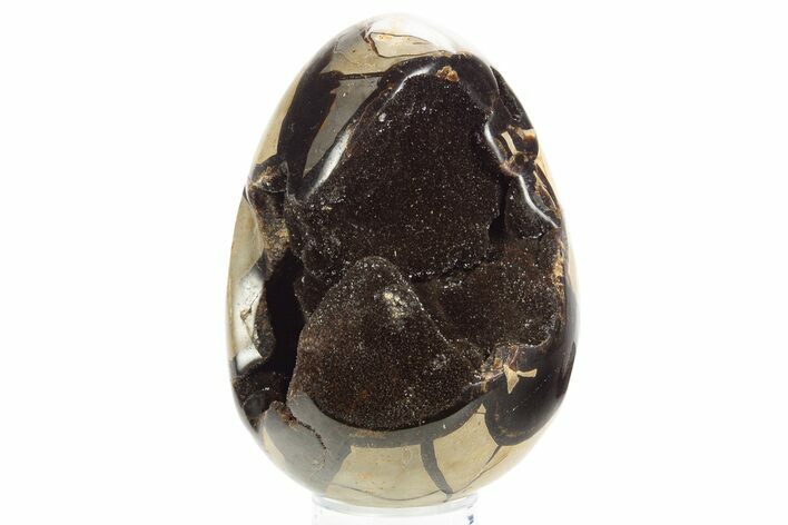 Septarian Dragon Egg Geode - Sparkly Black Crystals #329489